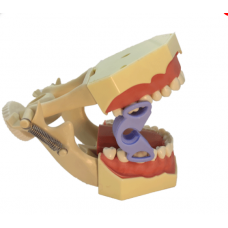 Bite Block